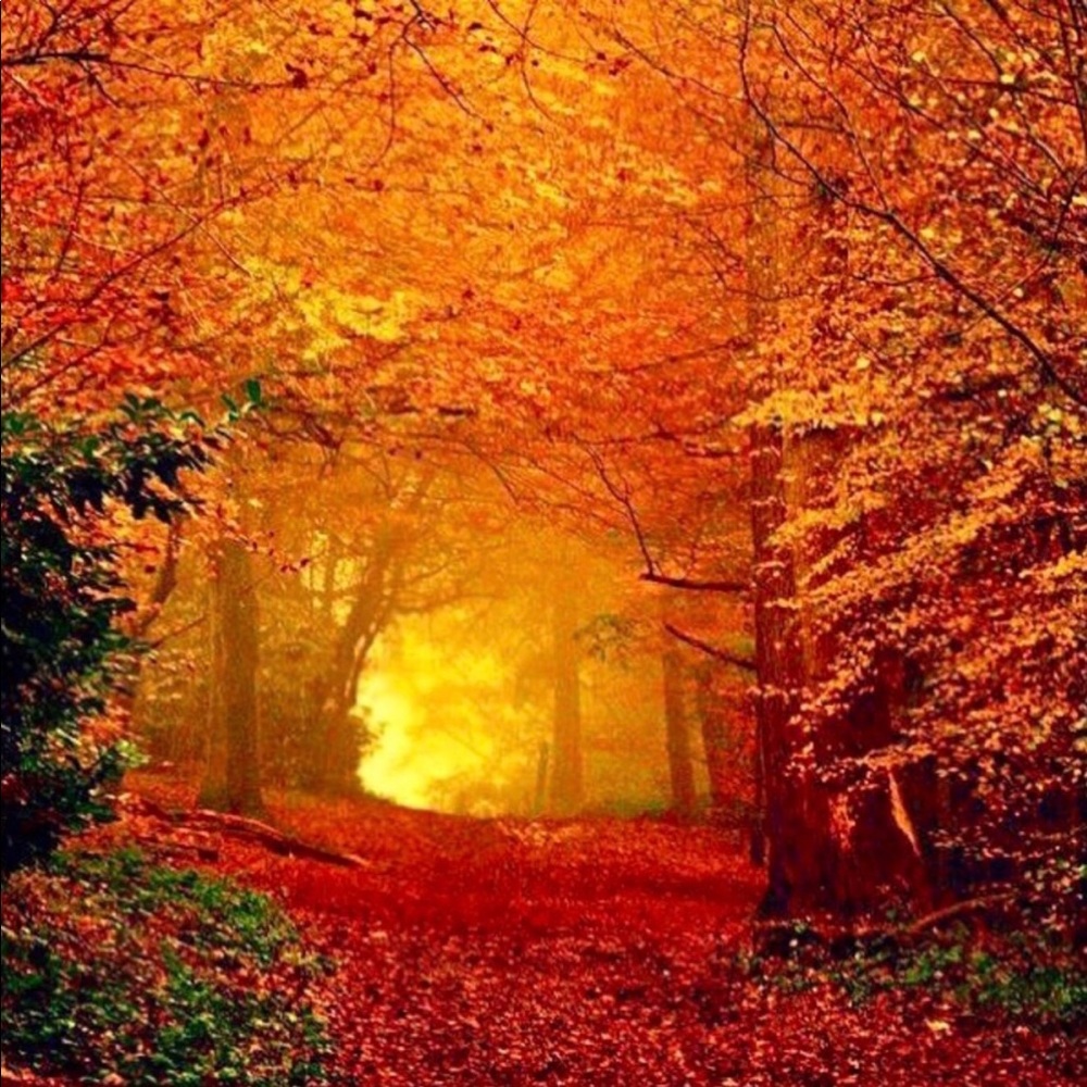 VACATION - Picture 4 of 4